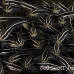 catfish_striped_bhr_tam_h_0647_bal6604.jpg